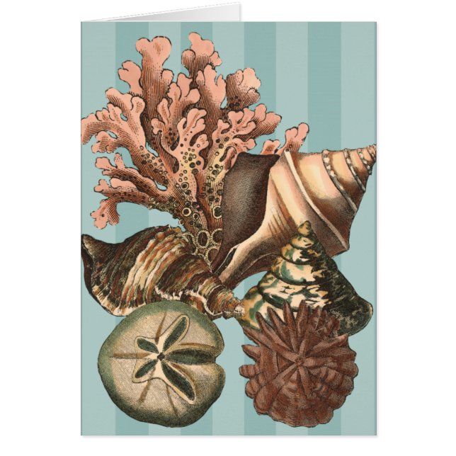 Sea Life Silhouette (Vorne)