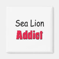 Sea Lion Addict