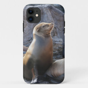 Sea Lion Case-Mate iPhone Hülle