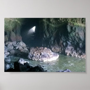 Sea Lion Cave, OR Poster