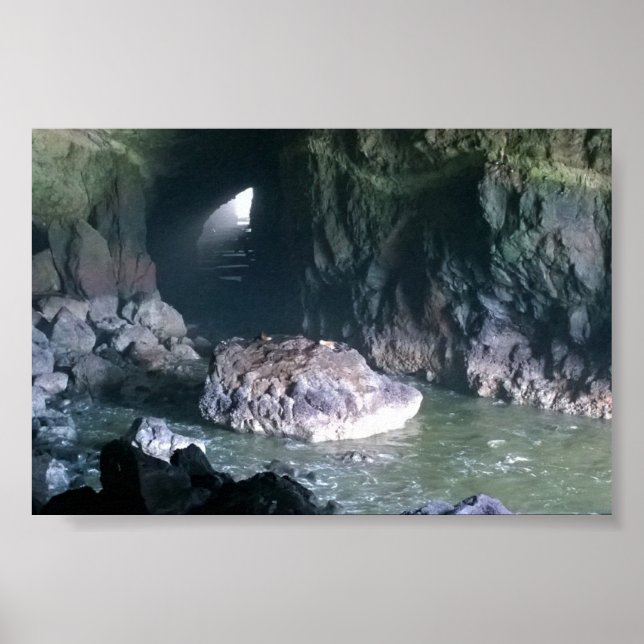 Sea Lion Cave, OR Poster (Vorne)