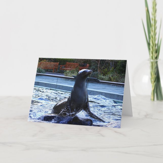 Sea Lion Karte (Vorderseite)