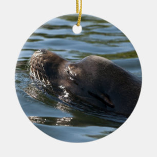 Sea Lion Keramikornament