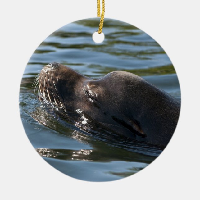 Sea Lion Keramikornament (Vorne)