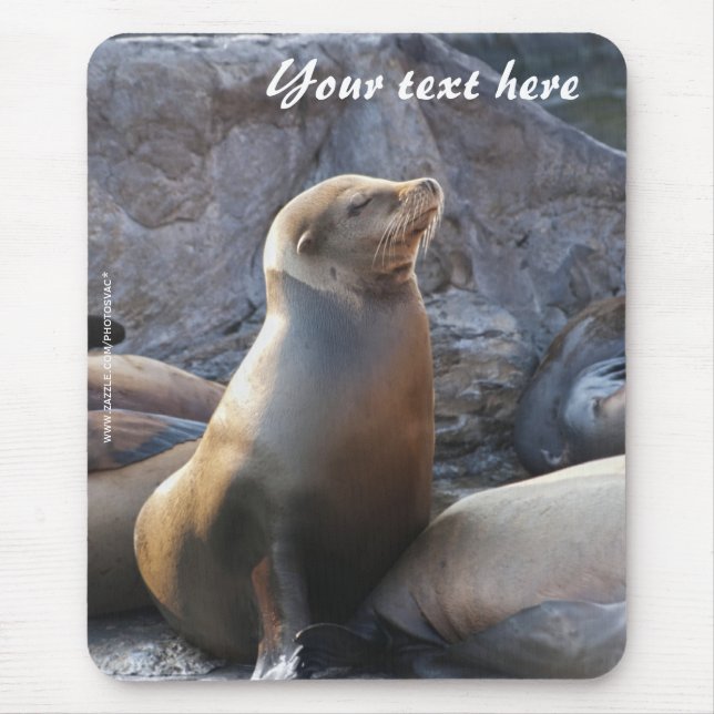 Sea Lion Mousepad (Vorne)