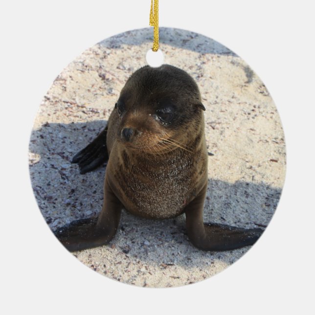 Sea Lion Ornament (Hinten)