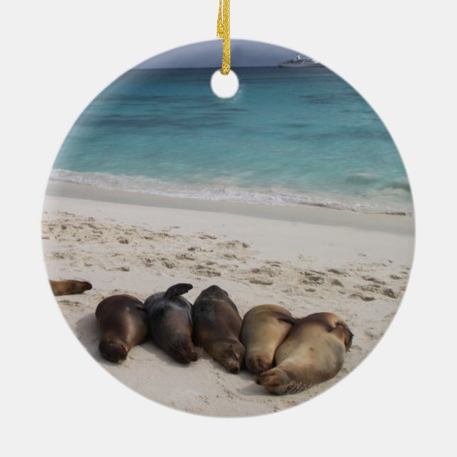 Sea Lion Ornament (Hinten)