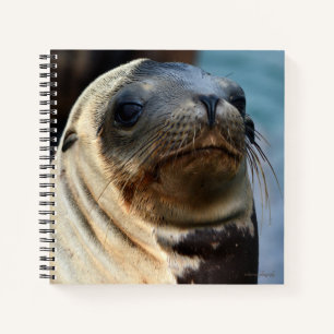 Sea Lion Portrait Notizbuch