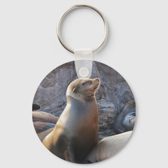 Sea Lion Schlüsselanhänger (Vorderseite)