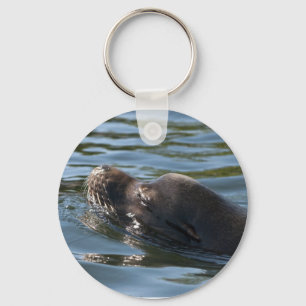 Sea Lion Schlüsselanhänger