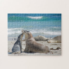 Sea lion Sealion niedliches Baby-Jungtier, Kinder