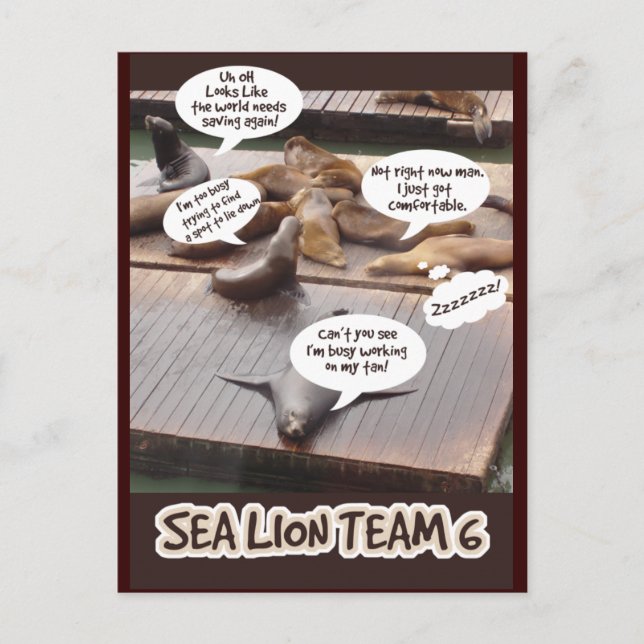 Sea Lion Team Six Postkarte (Vorderseite)