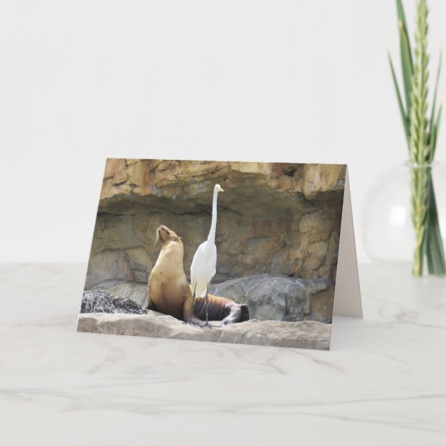 Sea Lion und Egret Grußkarte Karte (Vorderseite)