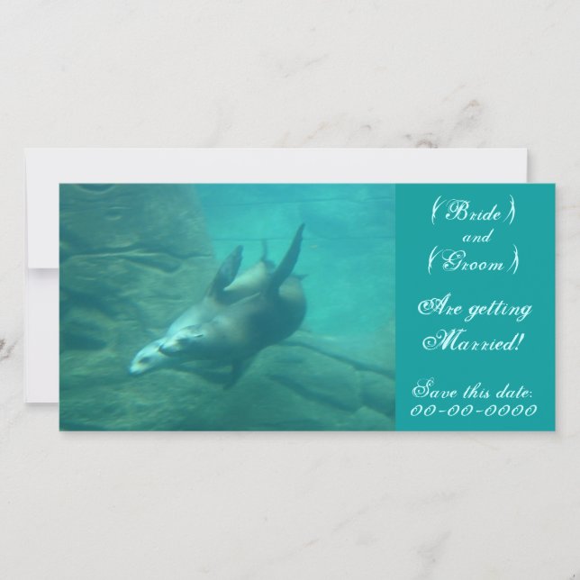 Sea Lions individuell Gerettet Dieses Datum Fotoka Save The Date (Vorderseite)