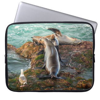 Sea Lions on Rocky Shore – Coastal Wildlife Art Laptopschutzhülle