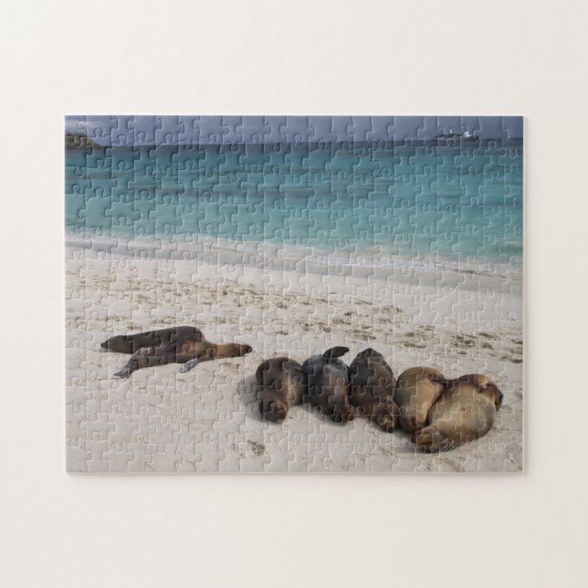 Sea Lions Puzzle (Horizontal)
