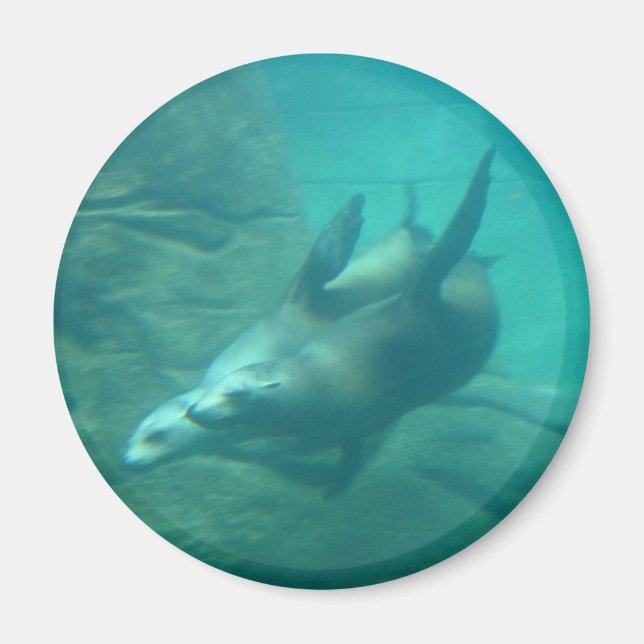 Sea Lions Round Magnet (Vorne)