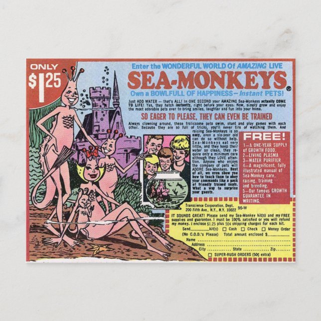 Sea Monkeys Postkarte (Vorderseite)