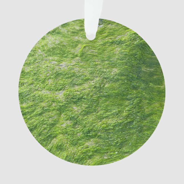 Sea Moss Green Nature Plage d'herbe Nautique (devant)