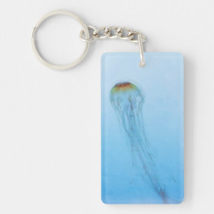 Sea Nettle
