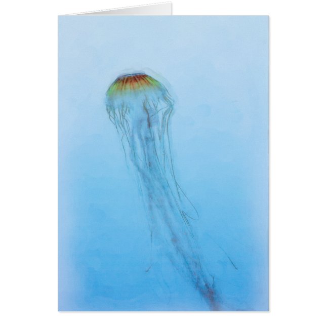Sea Nettle (Vorne)
