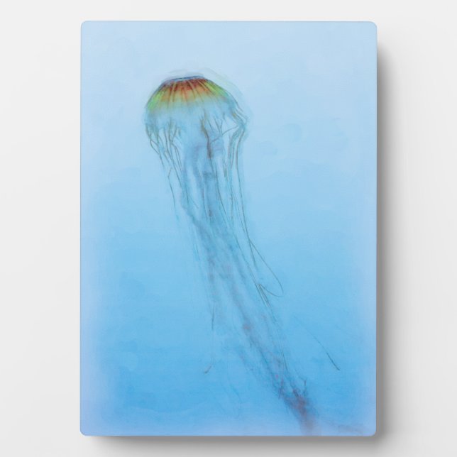 Sea Nettle Fotoplatte (Vorderseite)