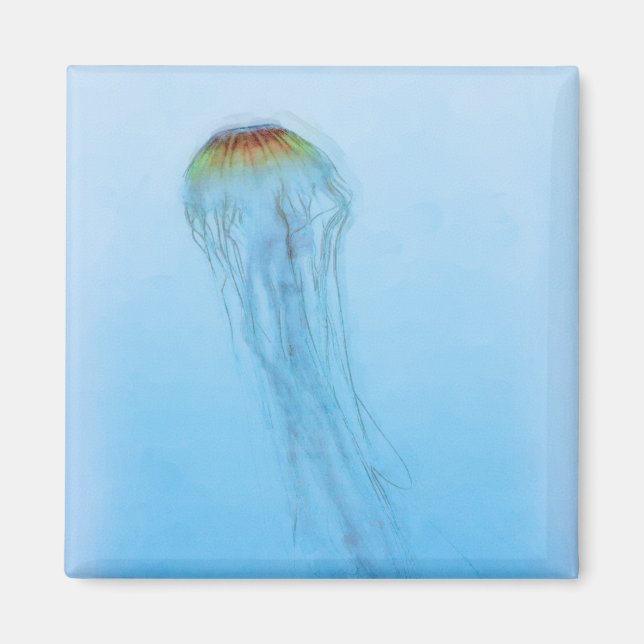 Sea Nettle Magnet (Vorne)