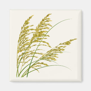 Sea Oats Magnet