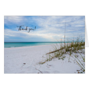 Sea Oats White Sand Beach Morgens Dankeschön U Car