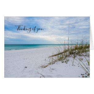 Sea Oats White Sand Beach Morgens Gedanken U Card