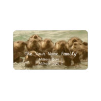 Sea Otter