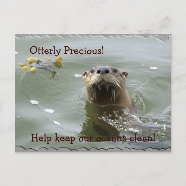 Sea Otter Anti-Verschmutzung Postkarte (Vorderseite)
