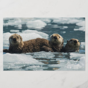 Sea Otter Briefpapier