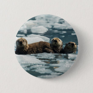 Sea Otter Button