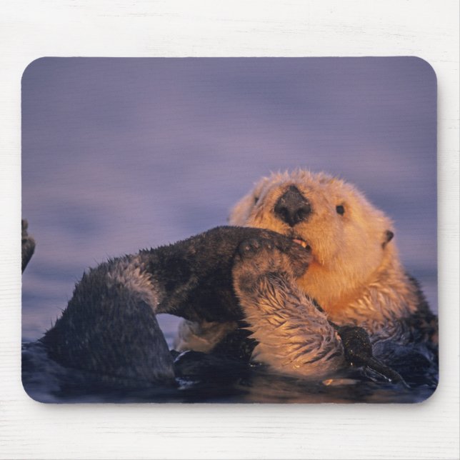 Sea Otter, Enhydra lutris Mousepad (Vorne)