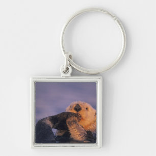 Sea Otter, Enhydra lutris Schlüsselanhänger