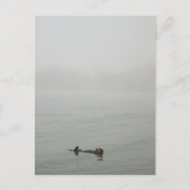 Sea Otter im Nebel Postkarte