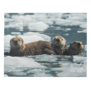 Sea Otter Notizblock