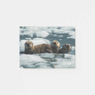 Sea Otter Post-it Klebezettel