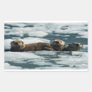 Sea Otter Rechteckiger Aufkleber