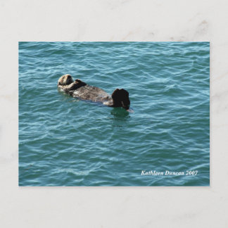 Sea Otter Schlafen Postkarte