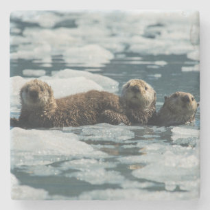 Sea Otter Steinuntersetzer