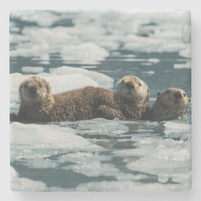 Sea Otter Steinuntersetzer (Vorderseite)