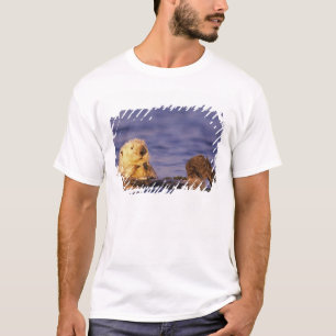 Sea Otters, Enhydra lutris 4 T-Shirt