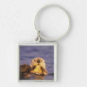 Sea Otters, Enhydra lutris 5 Schlüsselanhänger