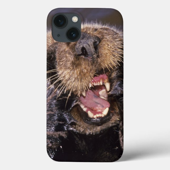 Sea Otters, Enhydra lutris 6 Case-Mate iPhone Hülle (Rückseite)