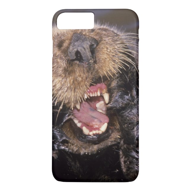 Sea Otters, Enhydra lutris 6 Case-Mate iPhone Hülle (Rückseite)