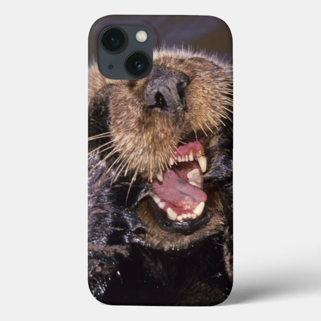 Sea Otters, Enhydra lutris 6 Case-Mate iPhone Hülle (Rückseite)