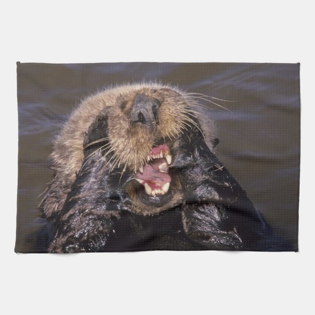 Sea Otters, Enhydra lutris 6 Geschirrtuch (Horizontal)