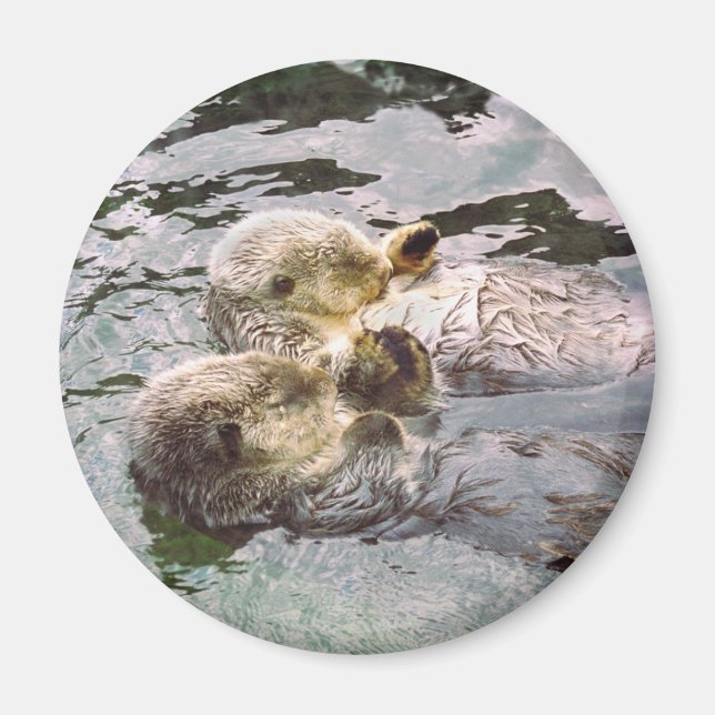 Sea Otters Holding Hands Magnet (Vorne)